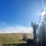 Im Schwarzwald