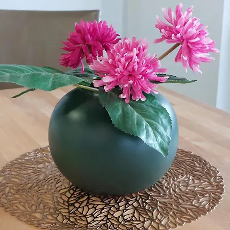 Daire Im Schwarzwald