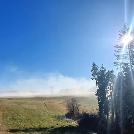 Im Schwarzwald