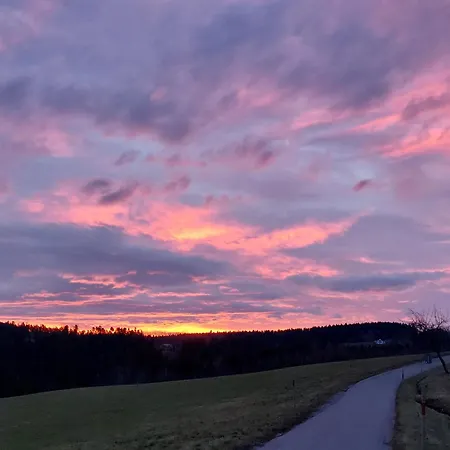 Im Schwarzwald Daire