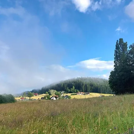 Appartamento Im Schwarzwald *